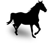 silouhete cheval